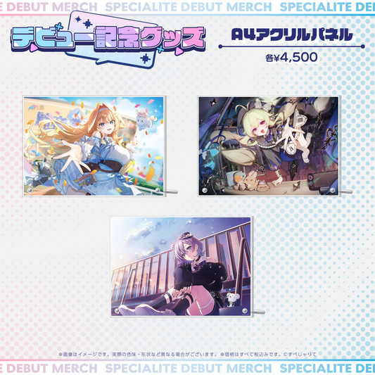 デビュー記念グッズ A4アクリルパネル