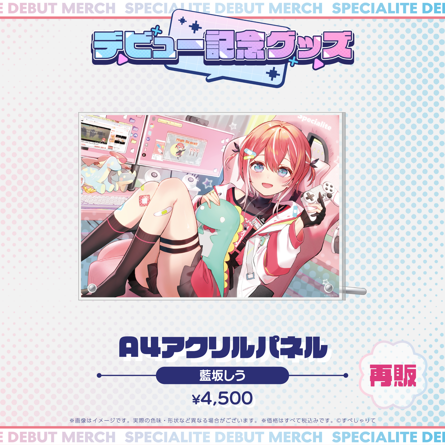 デビュー記念グッズ A4アクリルパネル