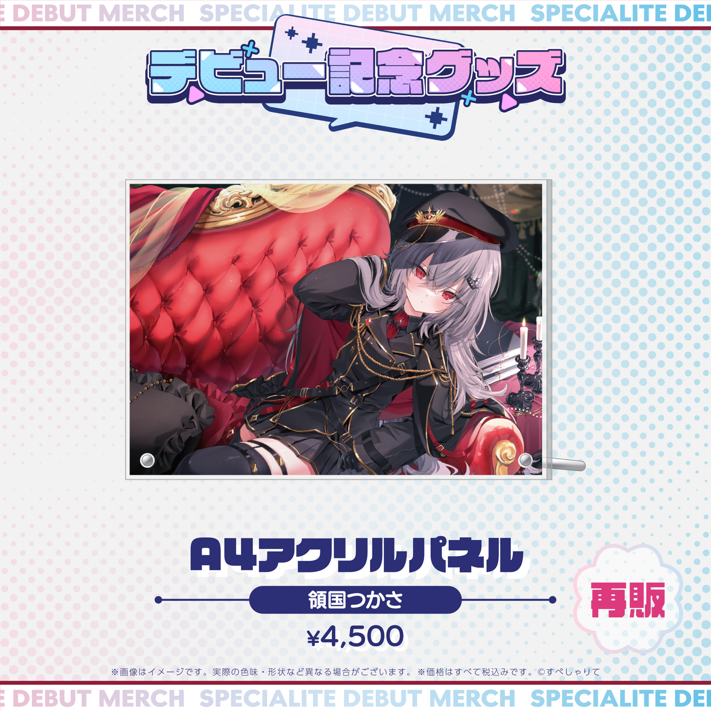 デビュー記念グッズ A4アクリルパネル