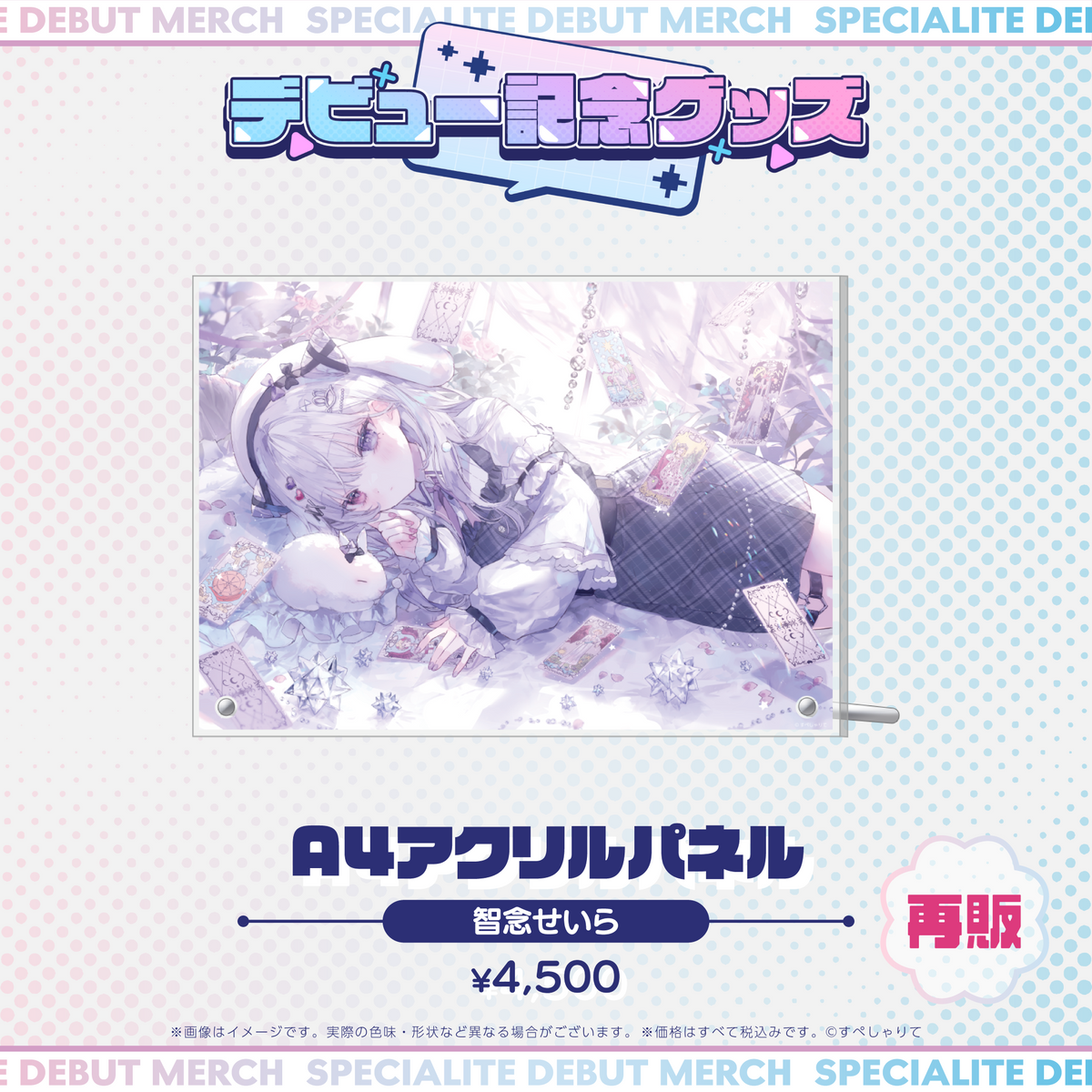 デビュー記念グッズ A4アクリルパネル