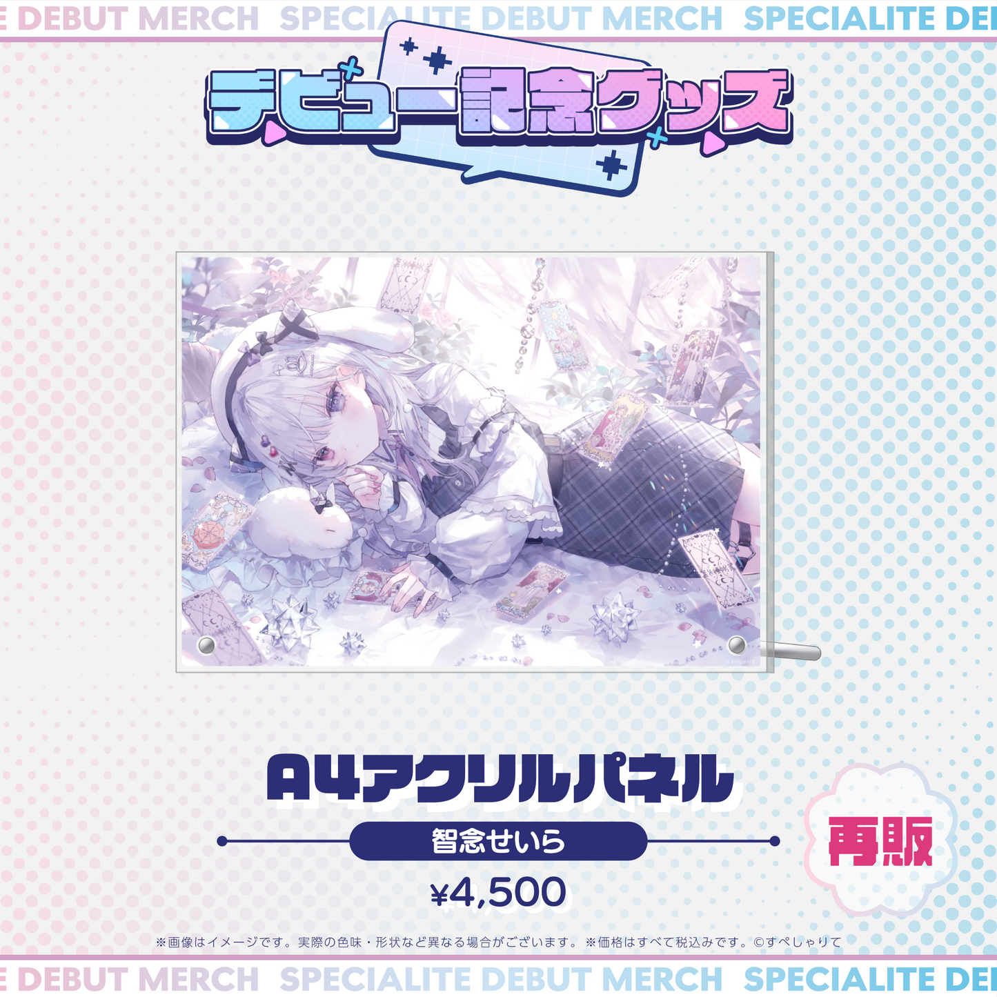 デビュー記念グッズ A4アクリルパネル