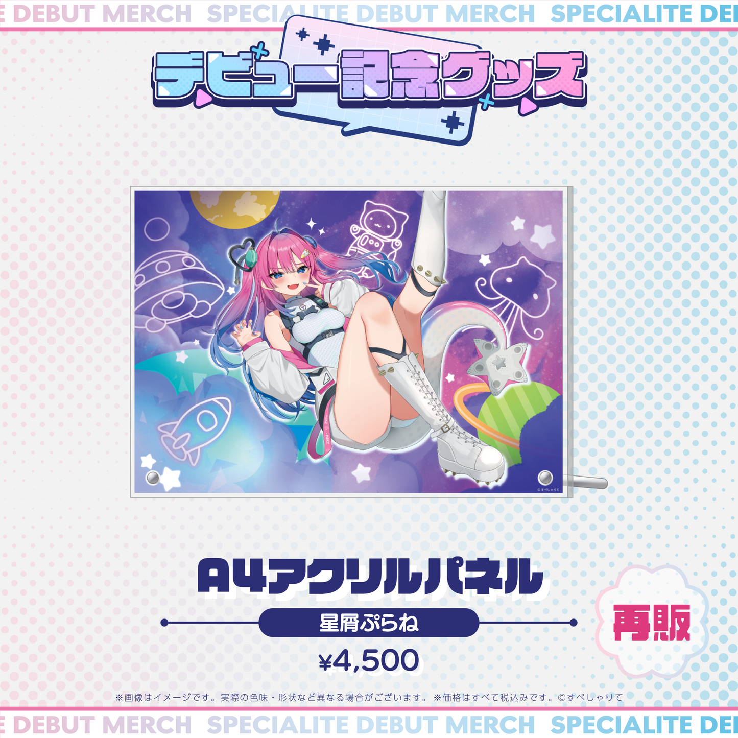 デビュー記念グッズ A4アクリルパネル