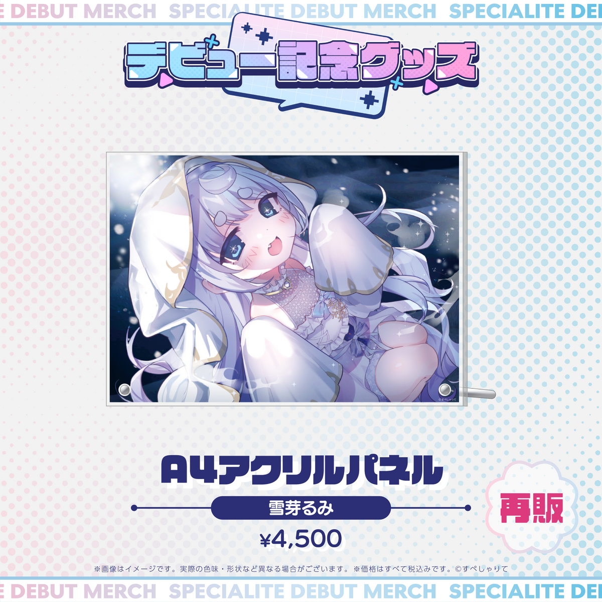 デビュー記念グッズ A4アクリルパネル