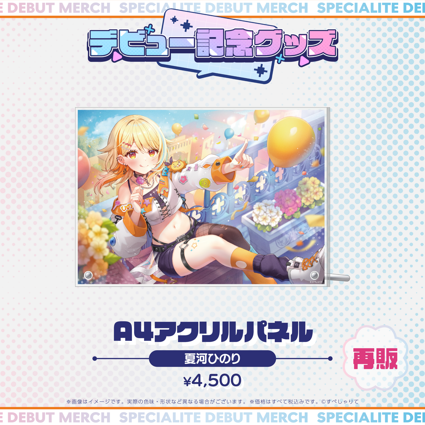 デビュー記念グッズ A4アクリルパネル