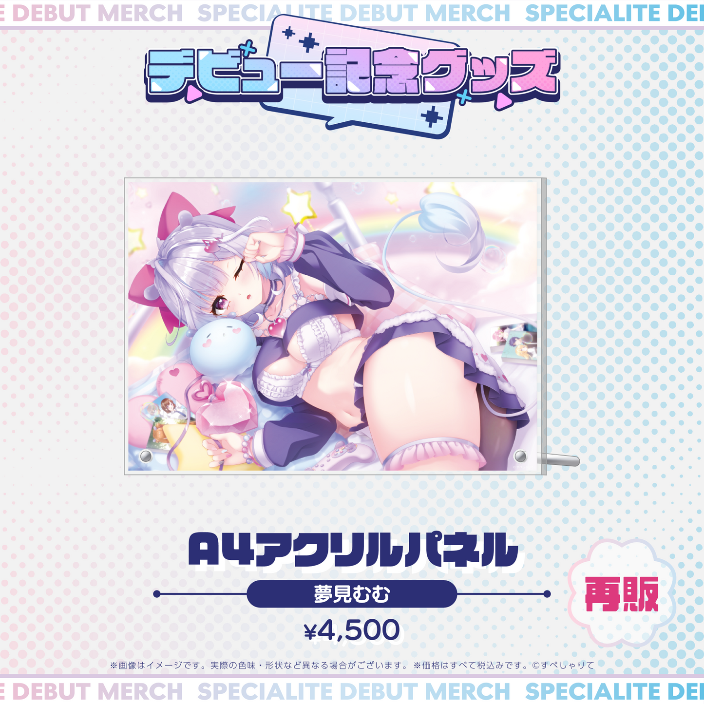 デビュー記念グッズ A4アクリルパネル