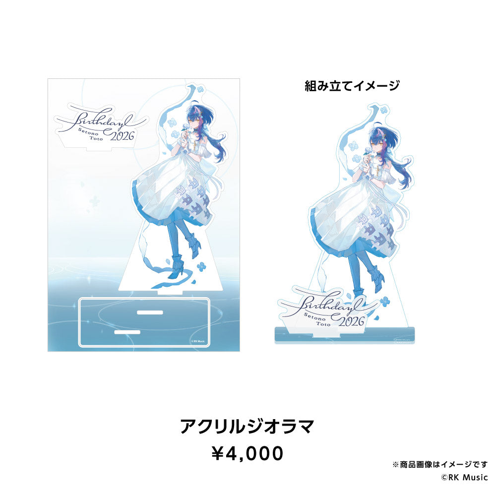 Setono Toto Birthday Goods 2026